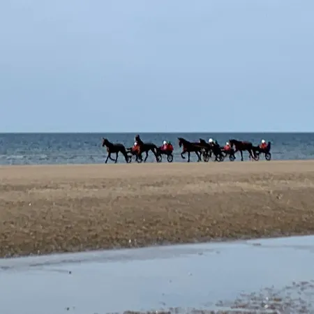 Bener'inn Au Calme Maison 3 125 M2 Ou Maison 2 50 M2 Ou Les 2 Maisons