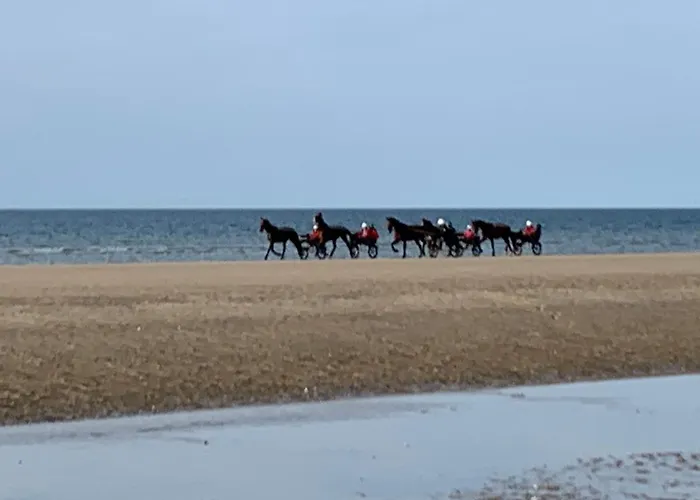 Bener'inn Au Calme Maison 3 125 M2 Ou Maison 2 50 M2 Ou Les 2 Maisons